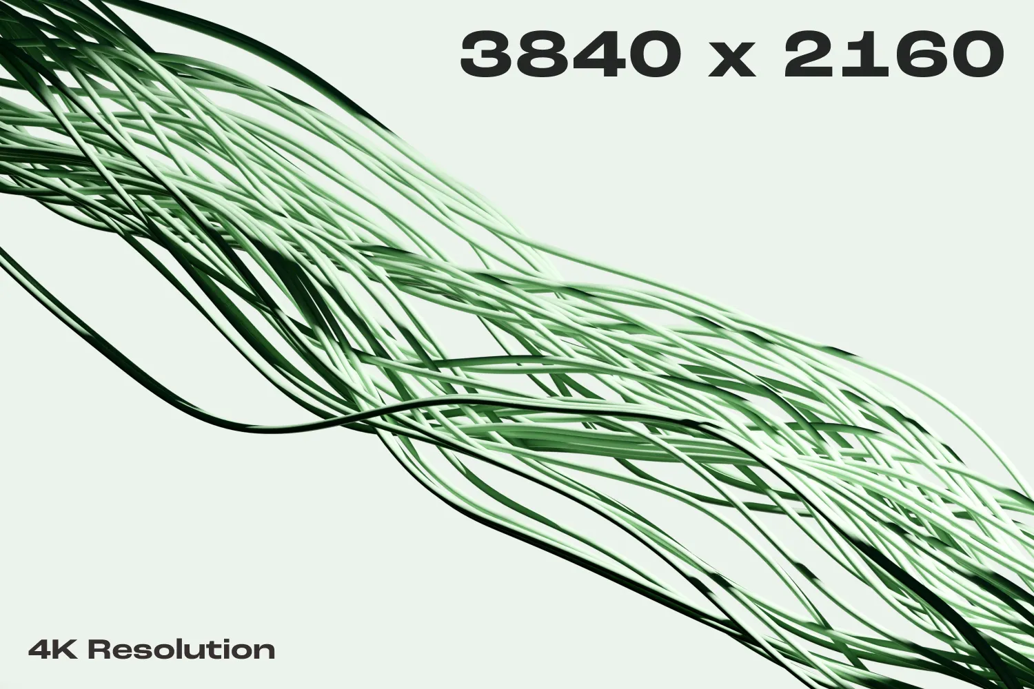 cover animation 2