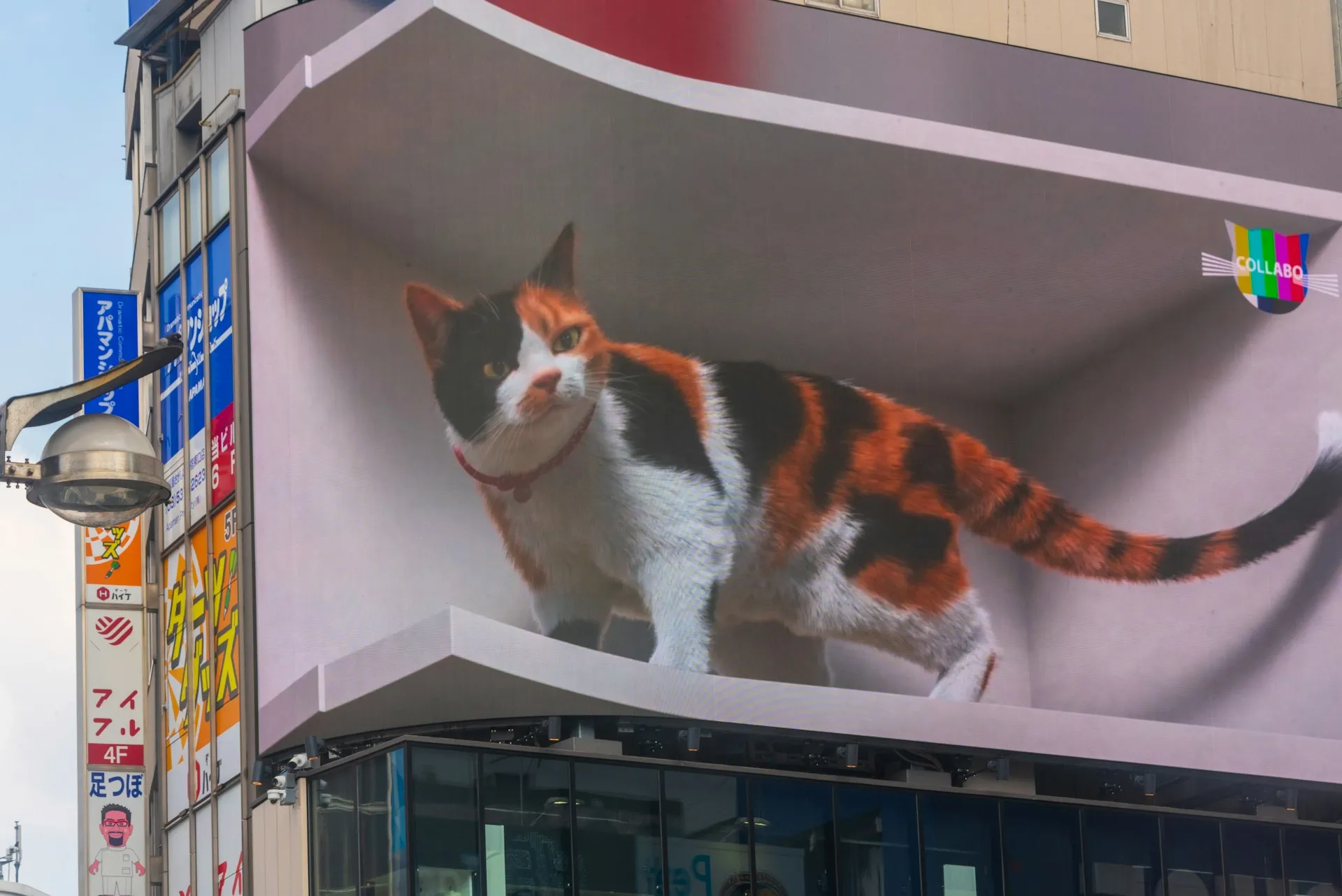 Shinjuku’s 3D Cat