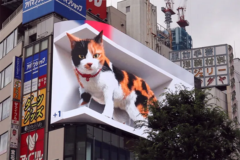 Cat 3D Billboard