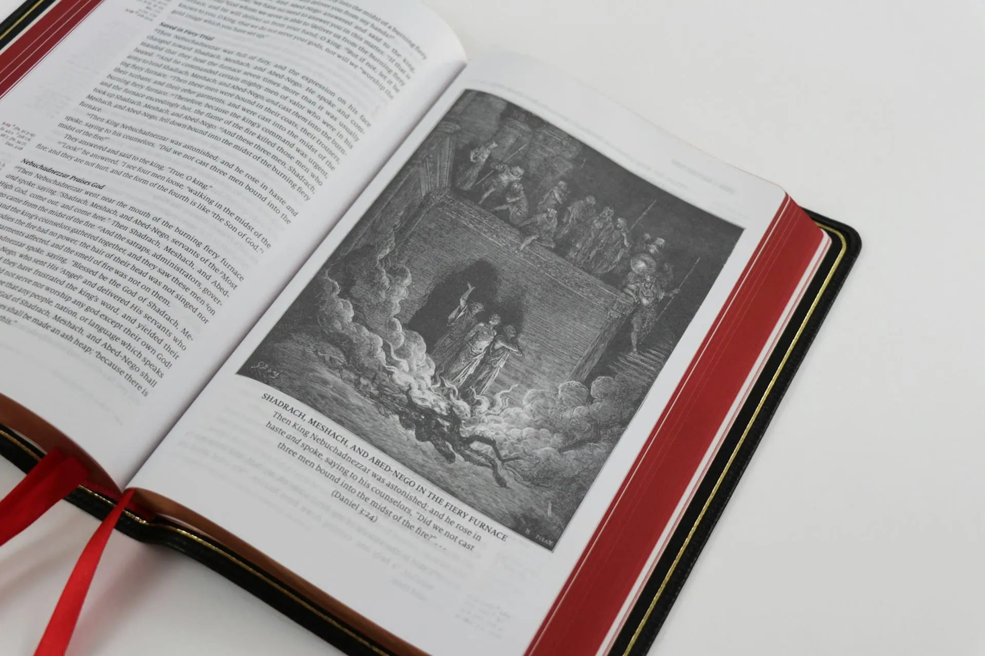 3D Illustration in Books