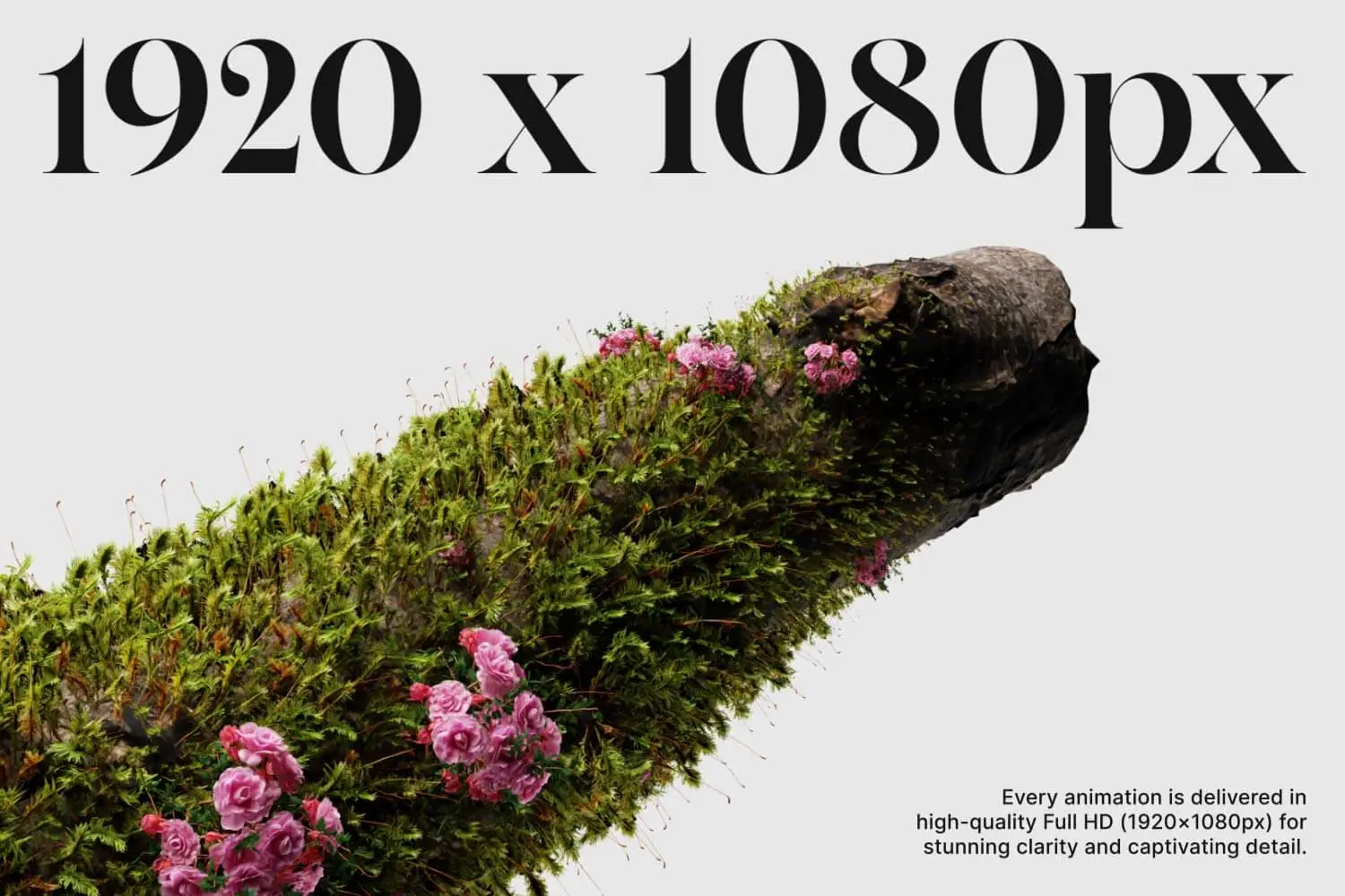 cover 2