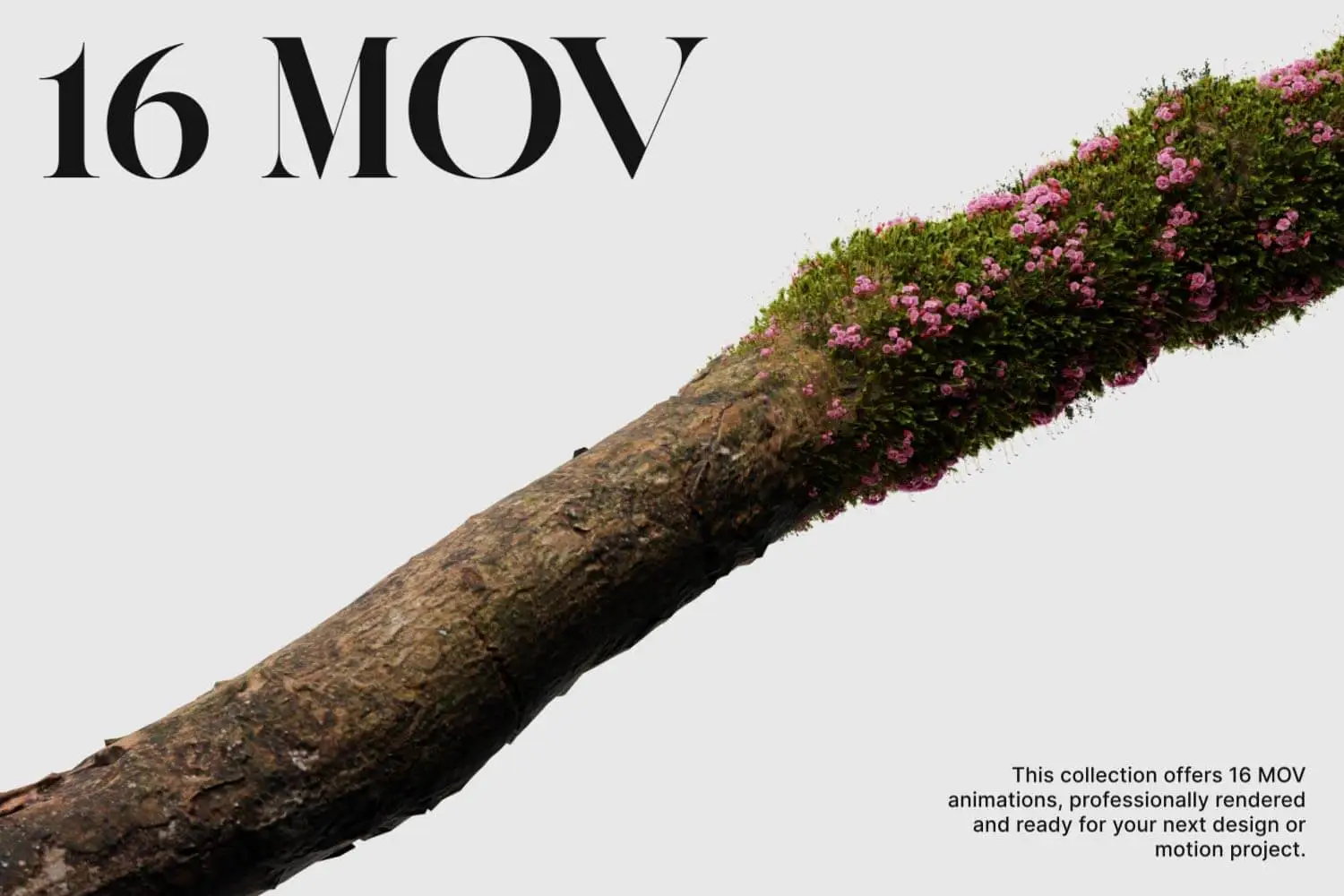 cover 3