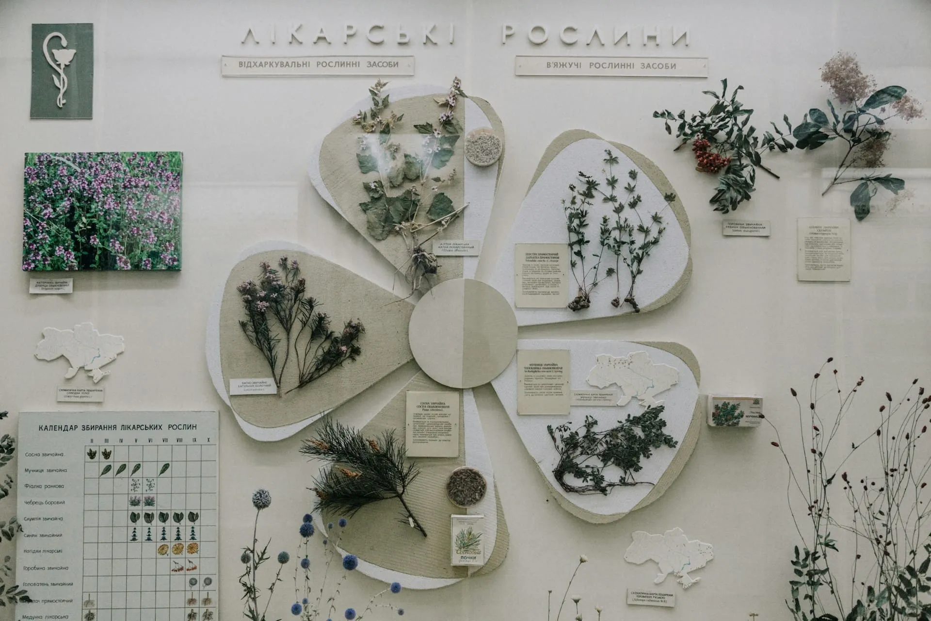 Biophilic Graphic Design