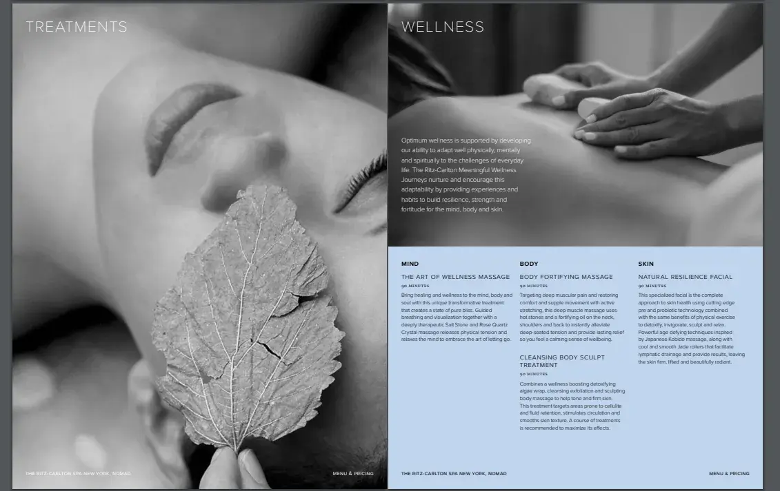 Brochise design ideas of Hotel Spa