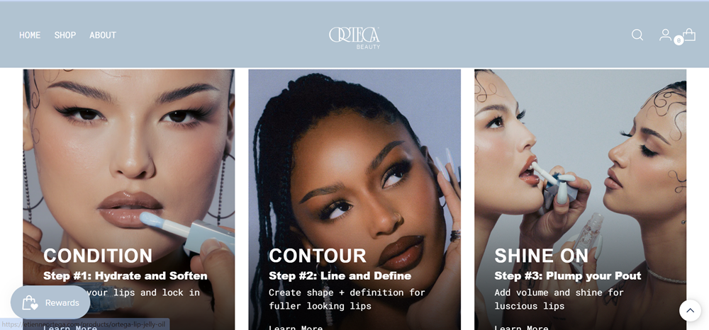 Cool light blue in the Ortega website