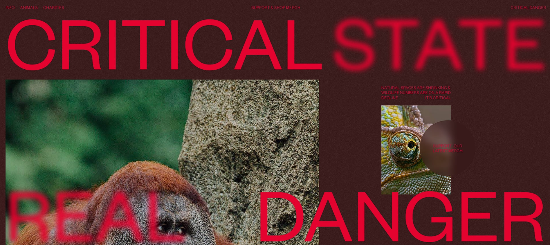 Critical Danger’s homepage