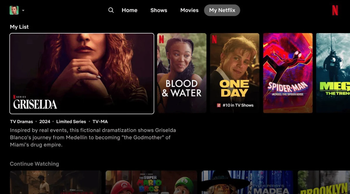 Netflix Interface