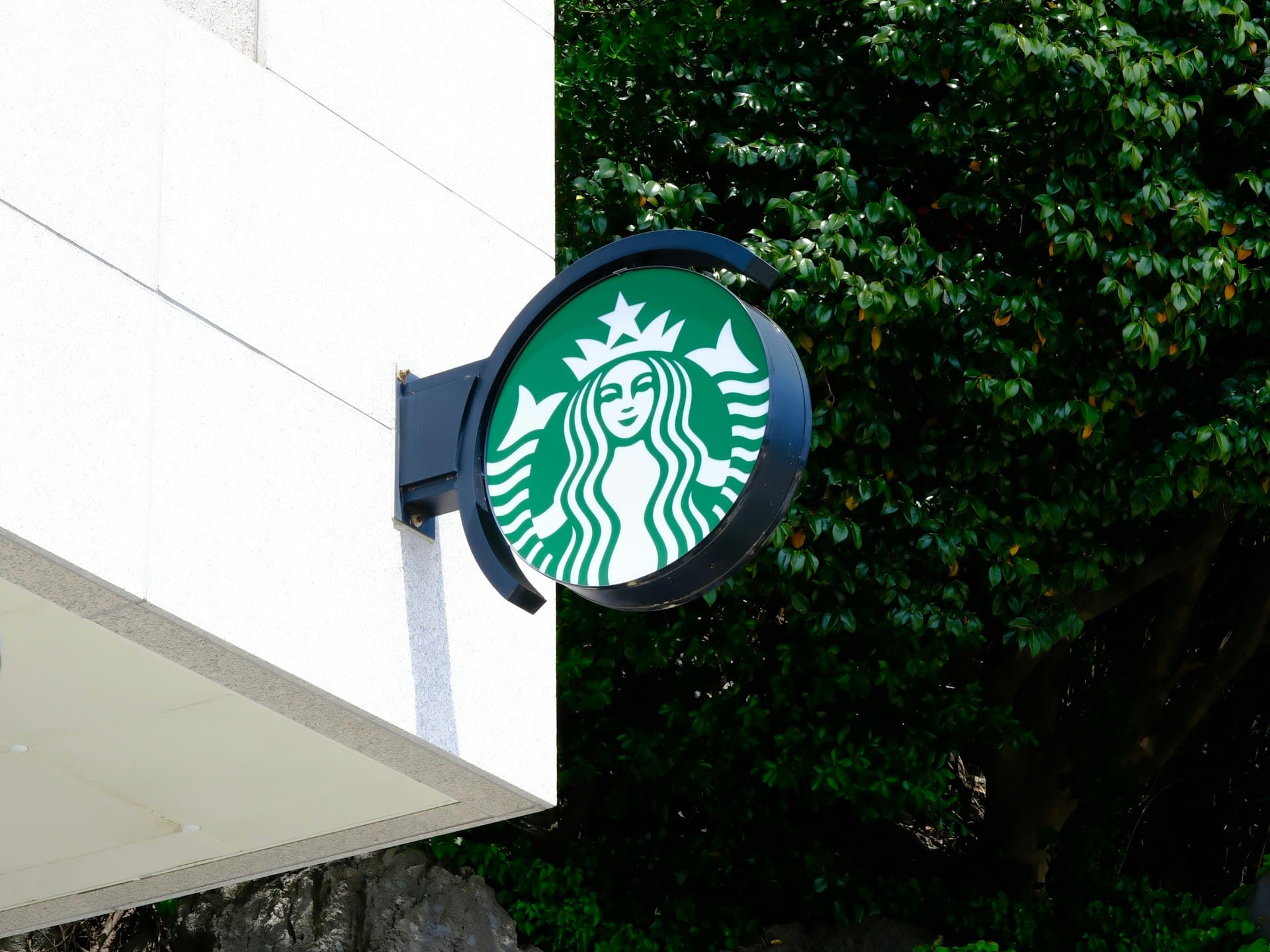 Starbucks siren Logo
