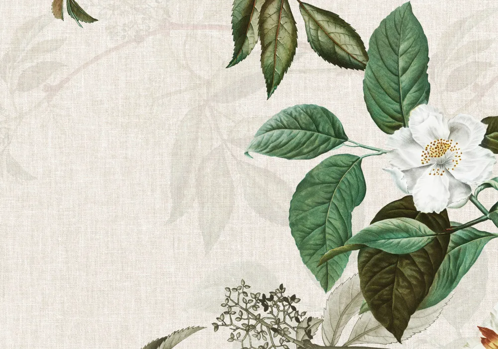 botanica graphic design