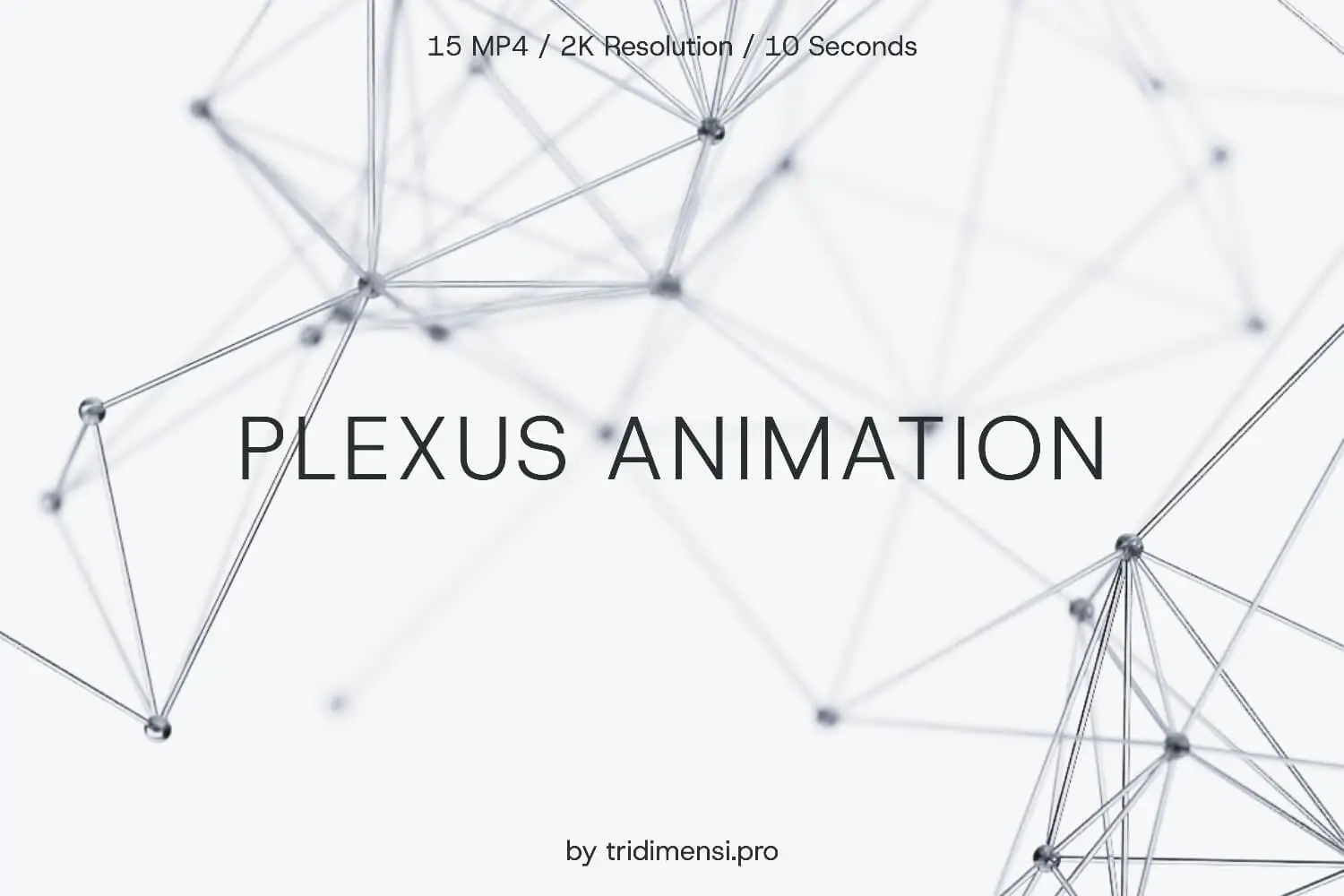 plexus animation cover 1