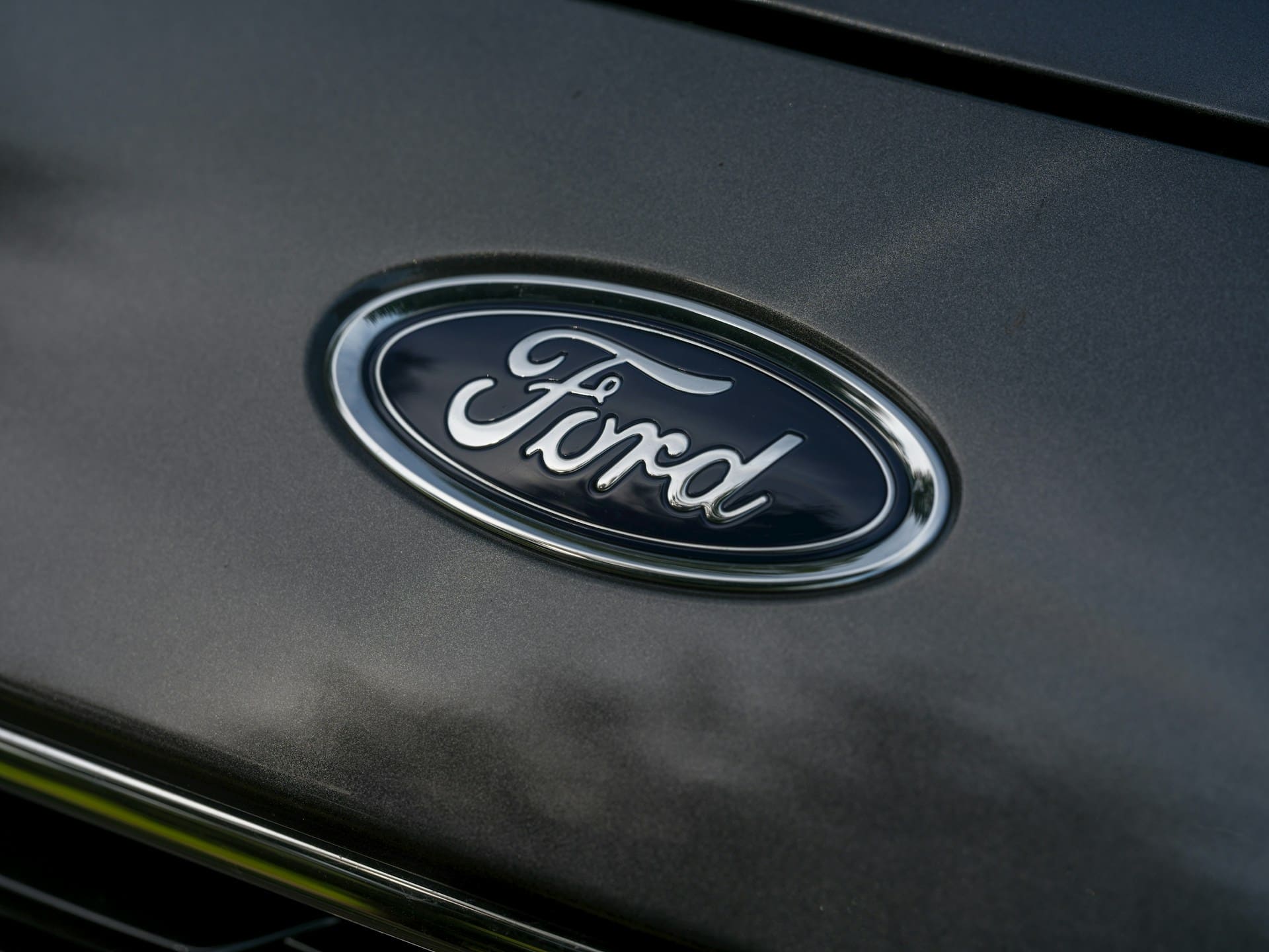 Ford timeless Logo