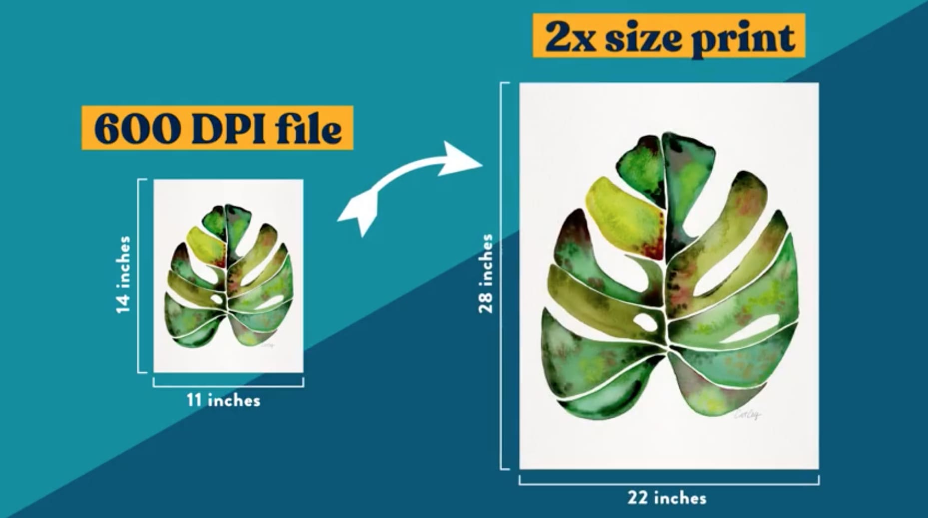File size resolution between raster vs vector graphics