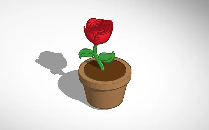 Flower Pot 